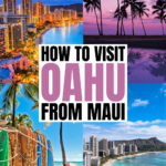 Day Trip to Maui from Honolulu