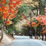 Day Trip to Nara from Osaka