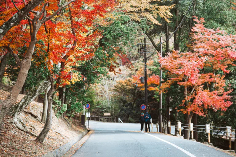 Day Trip to Nara from Osaka