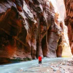 Day Trip to Zion from Las Vegas