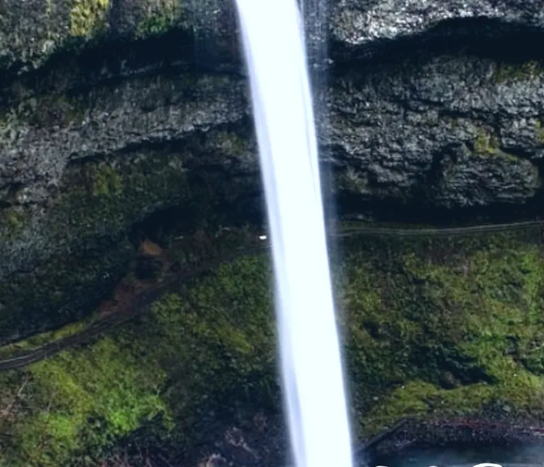 Day Trips from Eugene Oregon