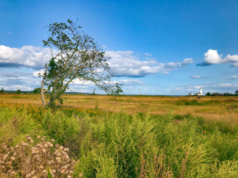 Day Trips from Hartford Ct