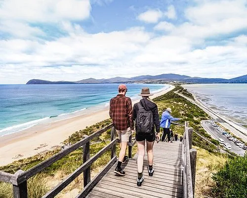 Day Trips from Hobart