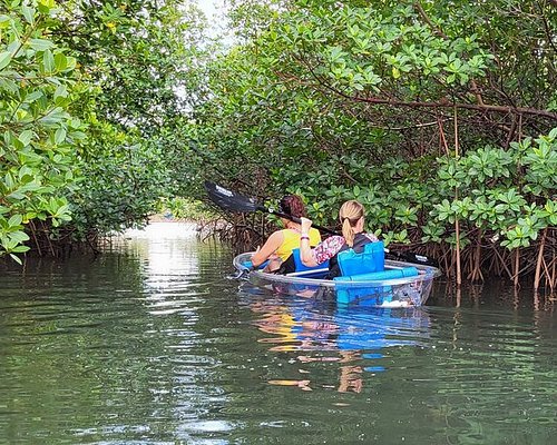 Day Trips from Jupiter Florida