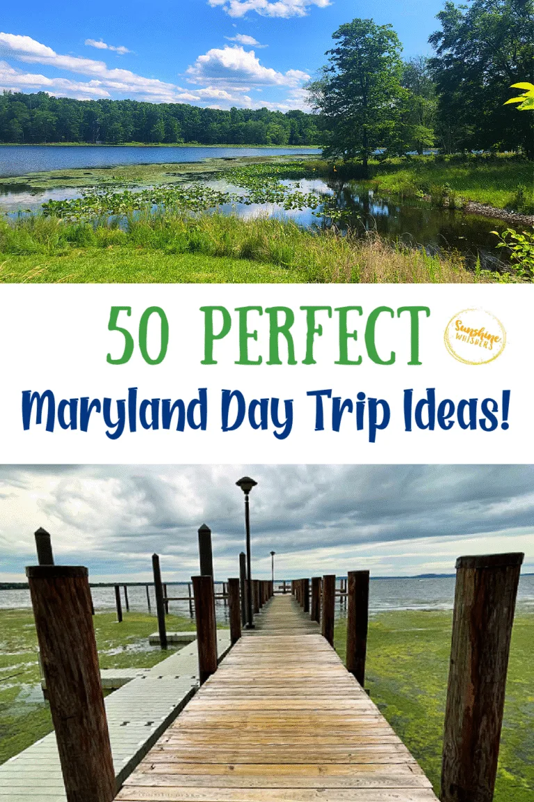 Day Trips from Maryland