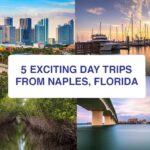 Day Trips from Naples Florida