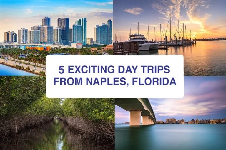Day Trips from Naples Florida