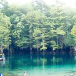 Day Trips from Pensacola Florida