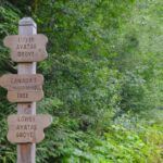 Day Trips from Victoria Bc
