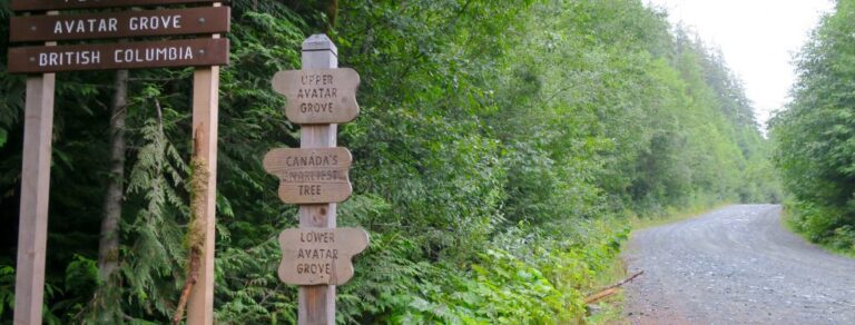 Day Trips from Victoria Bc