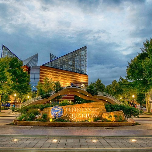 Indoor Things to Do in Chattanooga