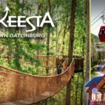 Kid Friendly Things to Do in Pigeon Forge