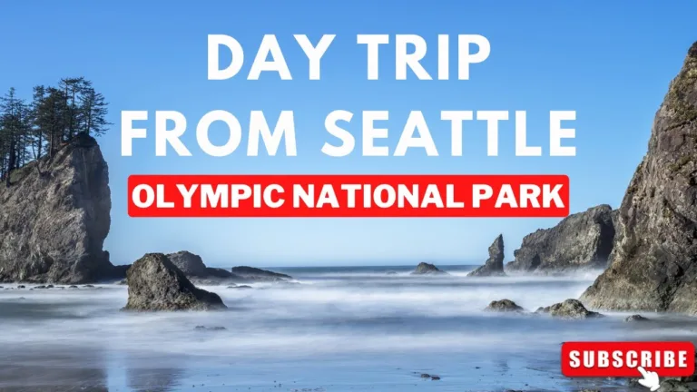 Olympic National Park Day Trip from Seattle