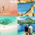 Private Day Trip from Labuan Bajo