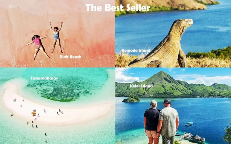 Private Day Trip from Labuan Bajo