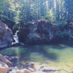 Things to Do in Birch Bay Wa