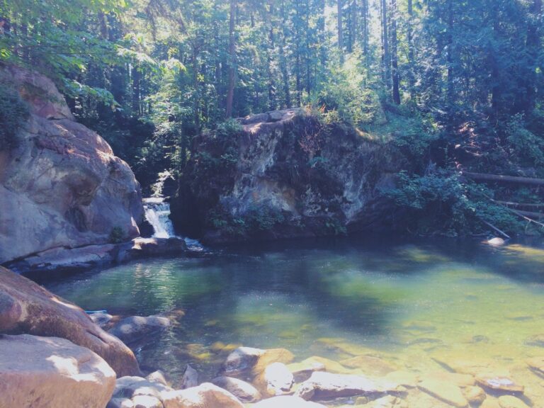 Things to Do in Birch Bay Wa