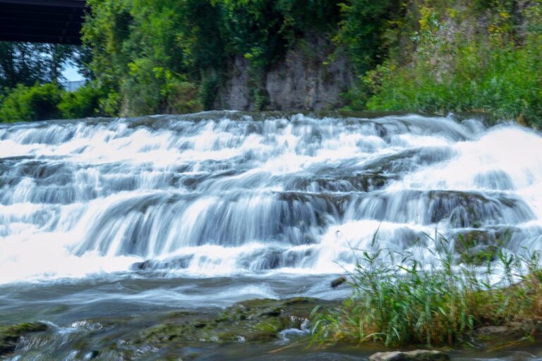 Things to Do in Cannon Falls Mn