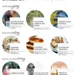 Things to Do in Charleston Sc in February