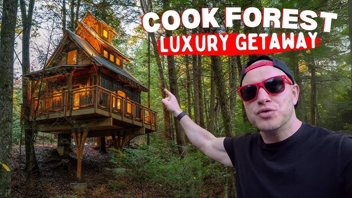 Things to Do in Cooks Forest