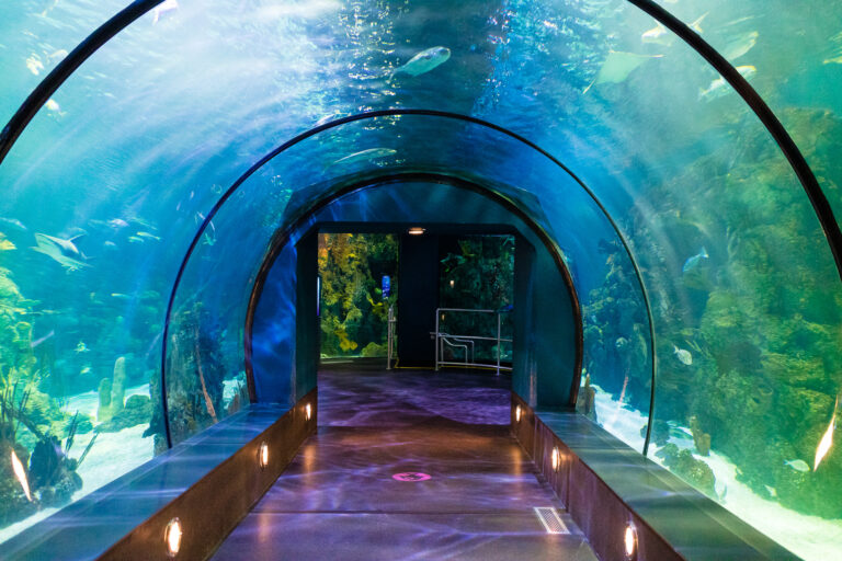 Things to Do in Galveston for Couples