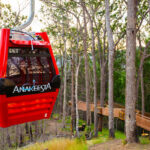 Things to Do in Gatlinburg for Couples