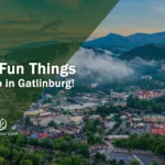 Things to Do in Gatlinburg in February