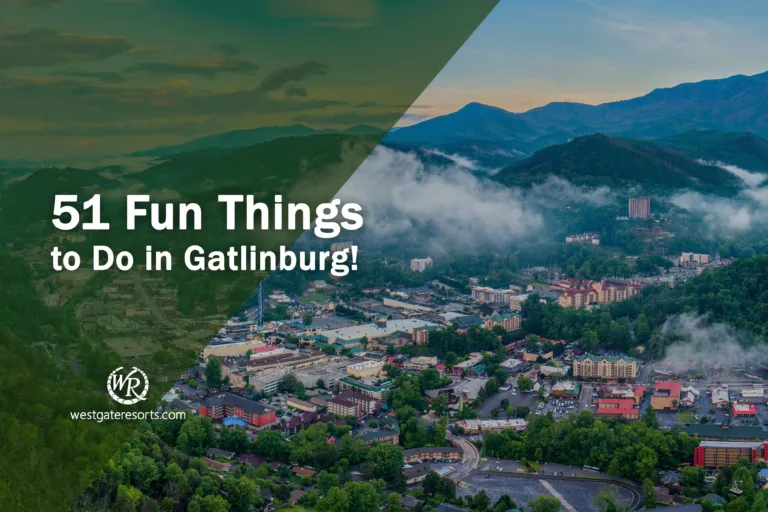 Things to Do in Gatlinburg in February