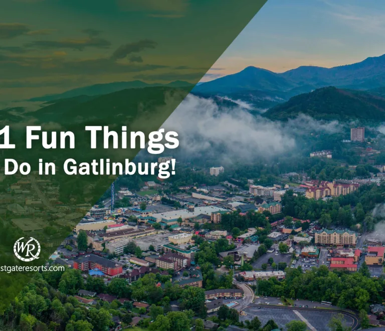 Things to Do in Gatlinburg in February