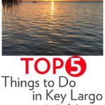Things to Do in Key Largo With Kids