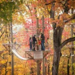 Things to Do in Lancaster Pa in the Fall