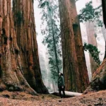 Things to Do in Modesto Ca This Weekend