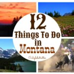 Things to Do in Montana in the Summer