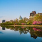 Things to Do in Nyc in June