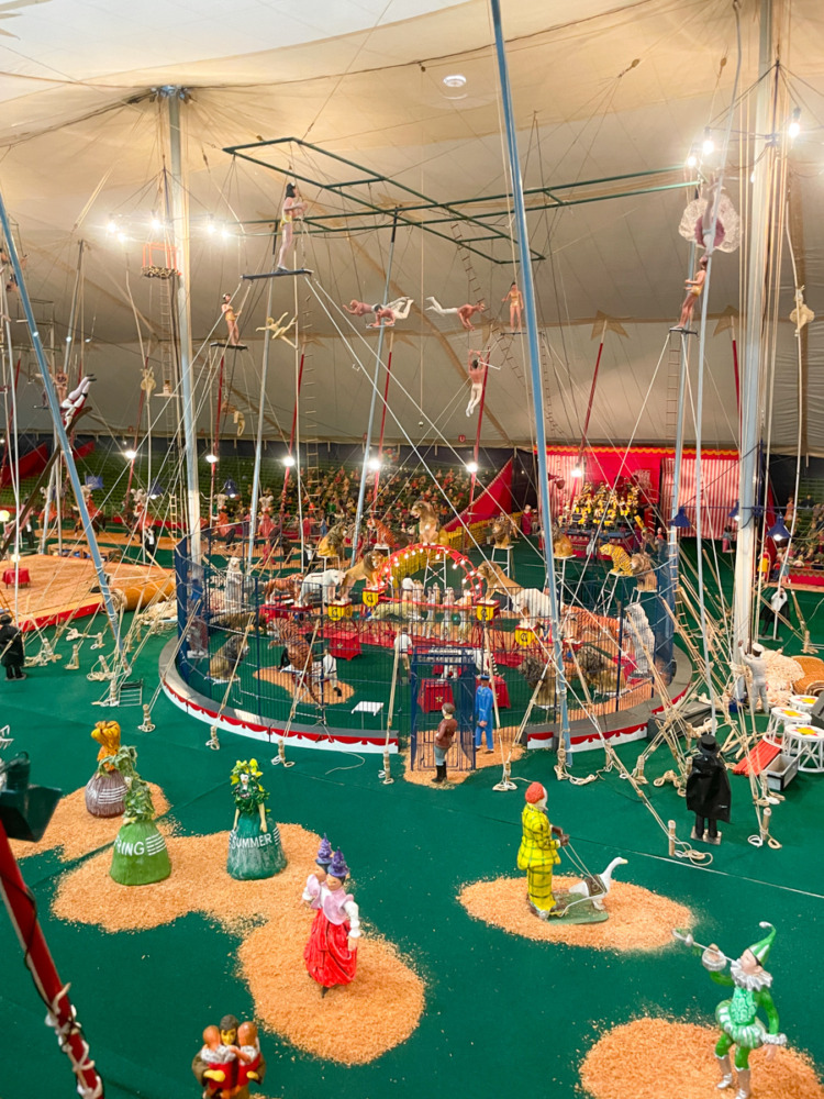 Things to Do in Sarasota With Kids
