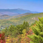 Things to Do in the Fall in Nh