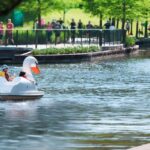 Things to Do in the Woodlands This Weekend
