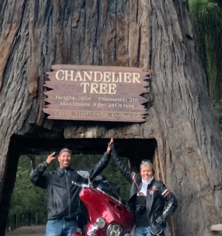 Things to Do in Thief River Falls Mn