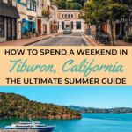 Things to Do in Tiburon