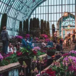 Things to Do Inside in Mn