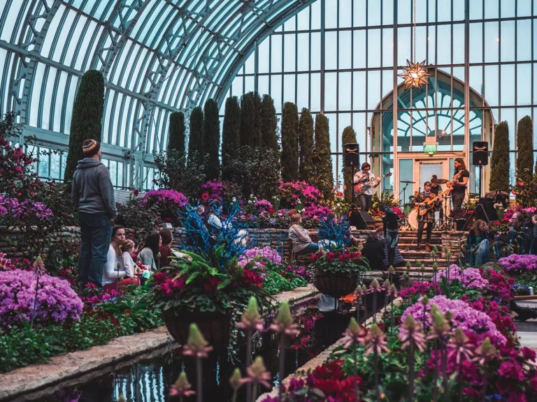 Things to Do Inside in Mn