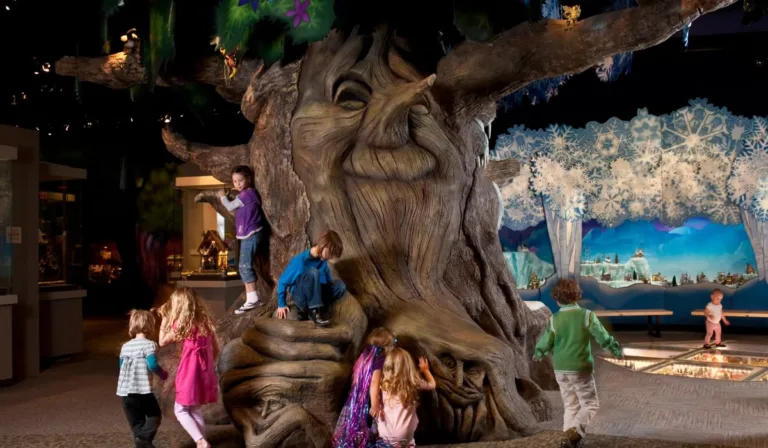 Things to Do With Family in Tucson