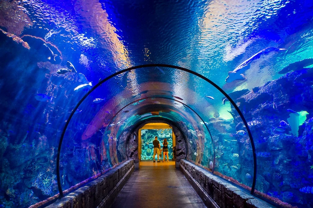 Things to Do With Toddlers in Las Vegas