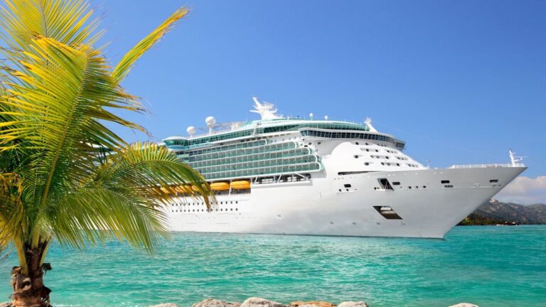 What is the Best Travel Insurance for Cruises