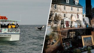 Winter Day Trips from Dc